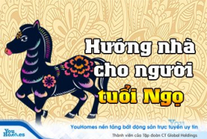 Xem hướng nhà cho người tuổi Ngọ mới nhất 2019